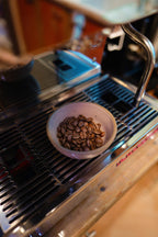 Aceh Gayo