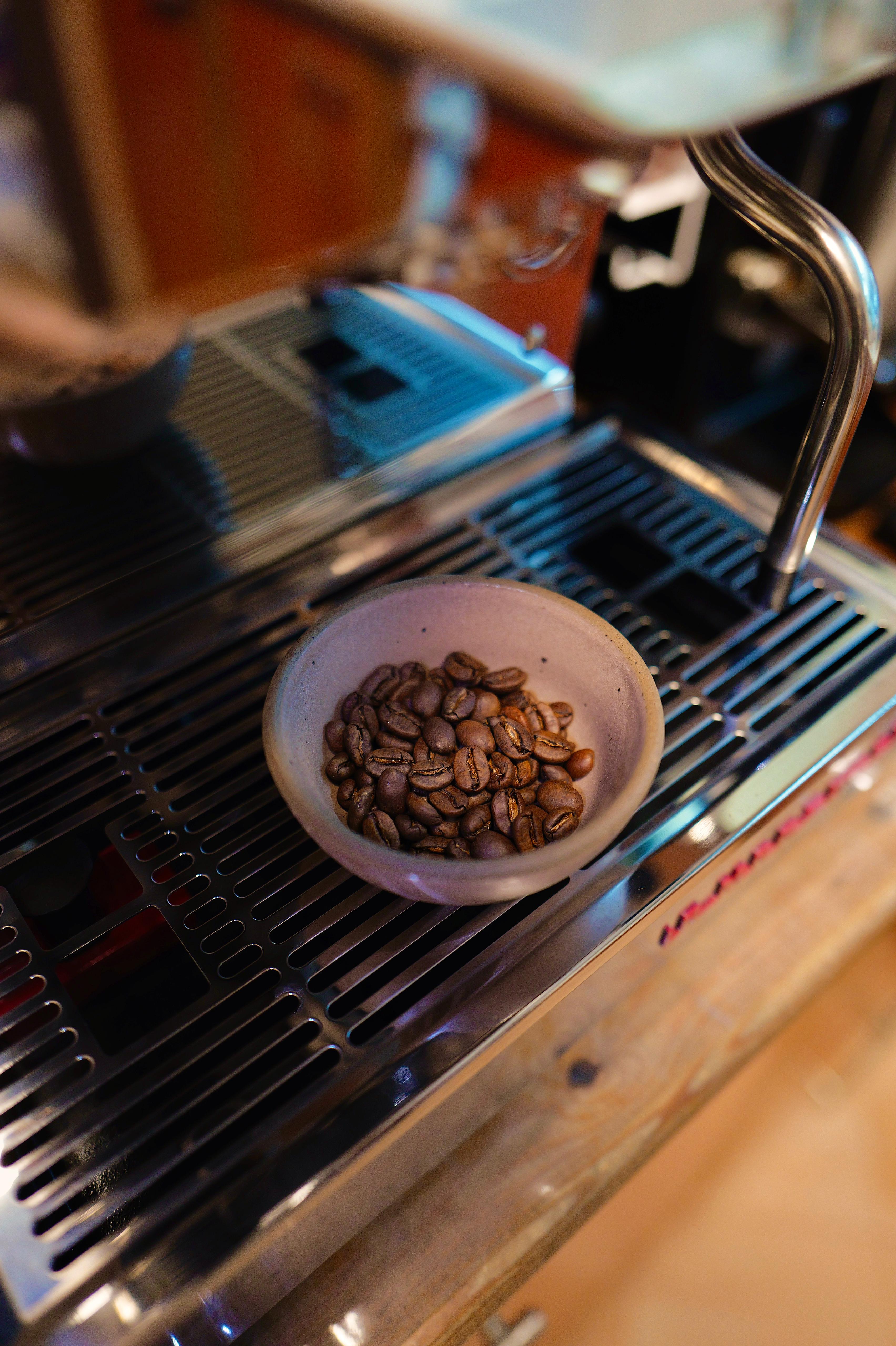 Aceh Gayo